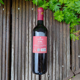 Petros Syrah 2022 Vang Đỏ Sicily Italy 🇮🇹