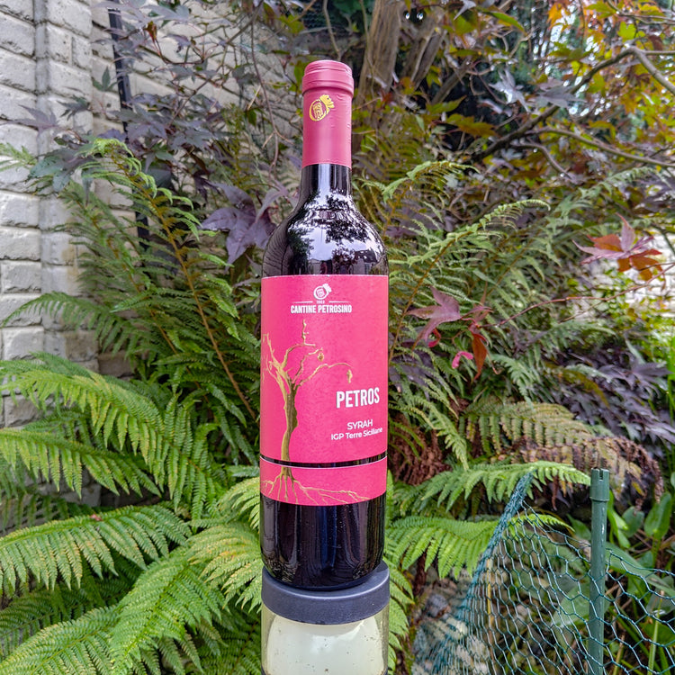 Petros Syrah 2022 Vang Đỏ Sicily Italy 🇮🇹