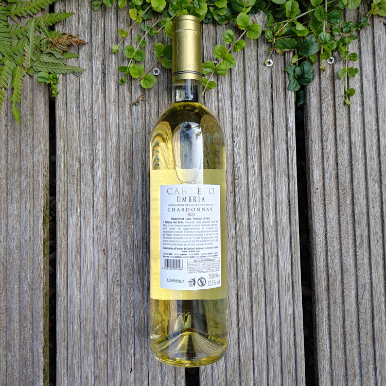 Cardèto Chardonnay Umbria IGP 2023 Vang Trắng Italy 🇮🇹