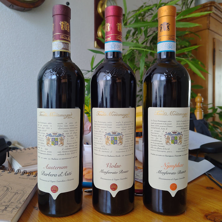 Montemagno Austerum Barbera d’Asti 2021 Vang Đỏ Italy 🇮🇹