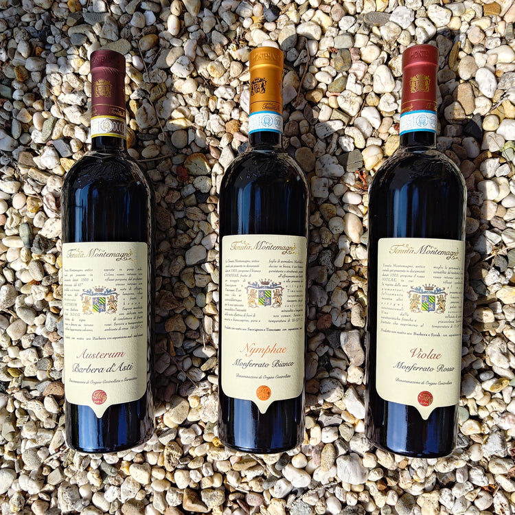 Montemagno Austerum Barbera d’Asti 2021 Vang Đỏ Italy 🇮🇹