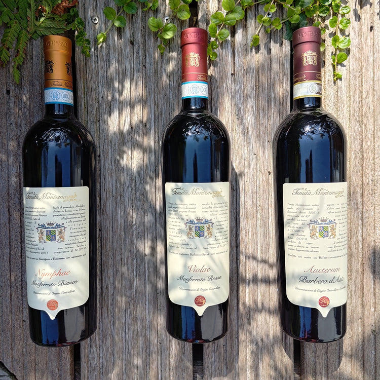 Montemagno Austerum Barbera d’Asti 2021 Vang Đỏ Italy 🇮🇹