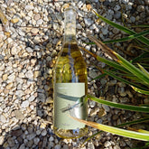 60 LUNE Fiano Salento IGT 2023 Vang Trắng Organic Italy 🇮🇹