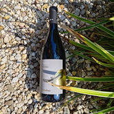 40 SOLI Negroamaro Salento IGT 2022 Vang Đỏ Organic Italy 🇮🇹