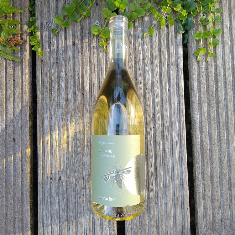 60 LUNE Fiano Salento IGT 2023 Vang Trắng Organic Italy 🇮🇹