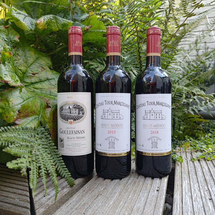 Château Tour Marcillanet 2015 Vang Đỏ Pháp 🇫🇷