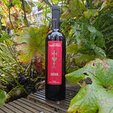 Giovanni Valentini Velios 2019 Syrah Vang Đỏ Tuscany Italy 🇮🇹