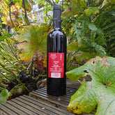 Giovanni Valentini Velios 2019 Syrah Vang Đỏ Tuscany Italy 🇮🇹