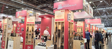 Bờ trái (Left Bank) so với Bờ phải (Right Bank) ở Bordeaux: Sự khác biệt là gì?