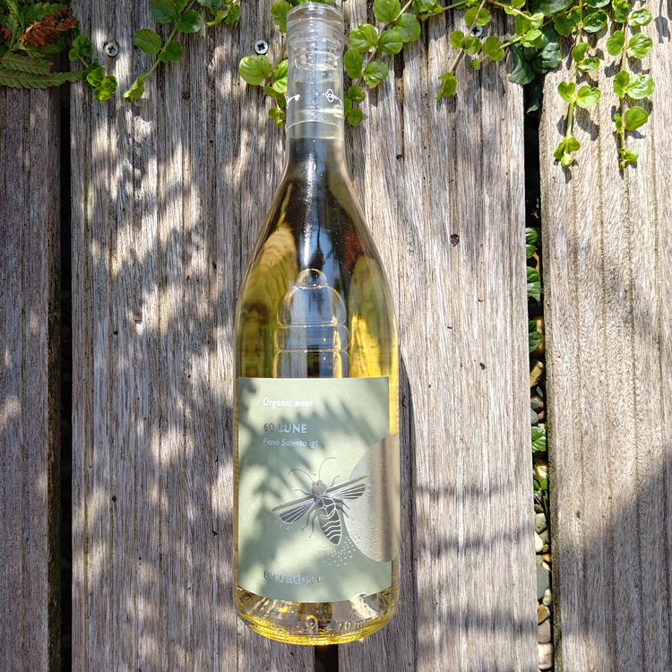 60 LUNE Fiano Salento IGT 2023 Vang Trắng Organic Italy 🇮🇹