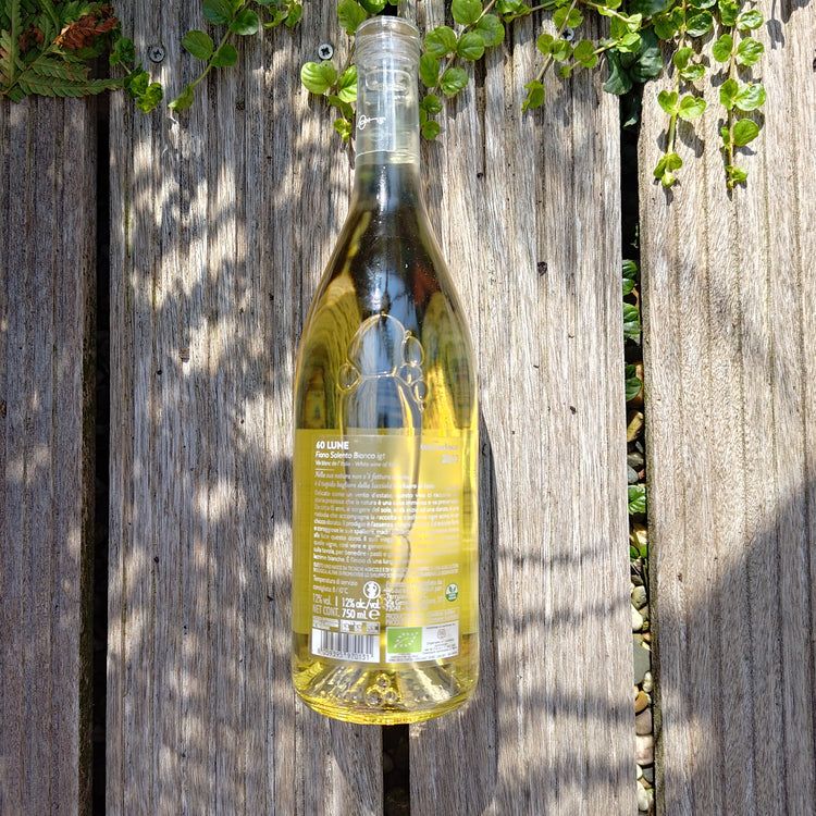 60 LUNE Fiano Salento IGT 2023 Vang Trắng Organic Italy 🇮🇹