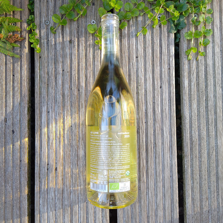 60 LUNE Fiano Salento IGT 2023 Vang Trắng Organic Italy 🇮🇹