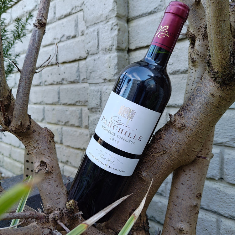 Château Panchille Bordeaux Supérieur 2018 🇫🇷